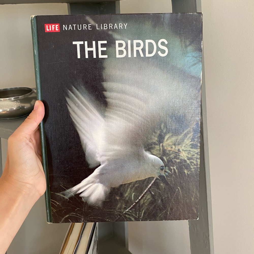 LIFE MAGAZINE THE BIRDS COFFEE TABLE BOOK
